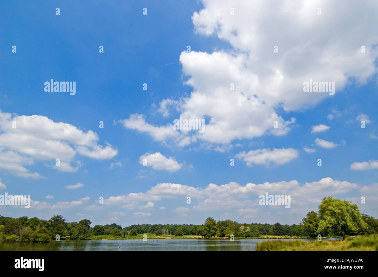Verticale ad angolo ampio paesaggio della vista attraverso gli stagni della penna in Richmond Park in una giornata di sole. Foto Stock