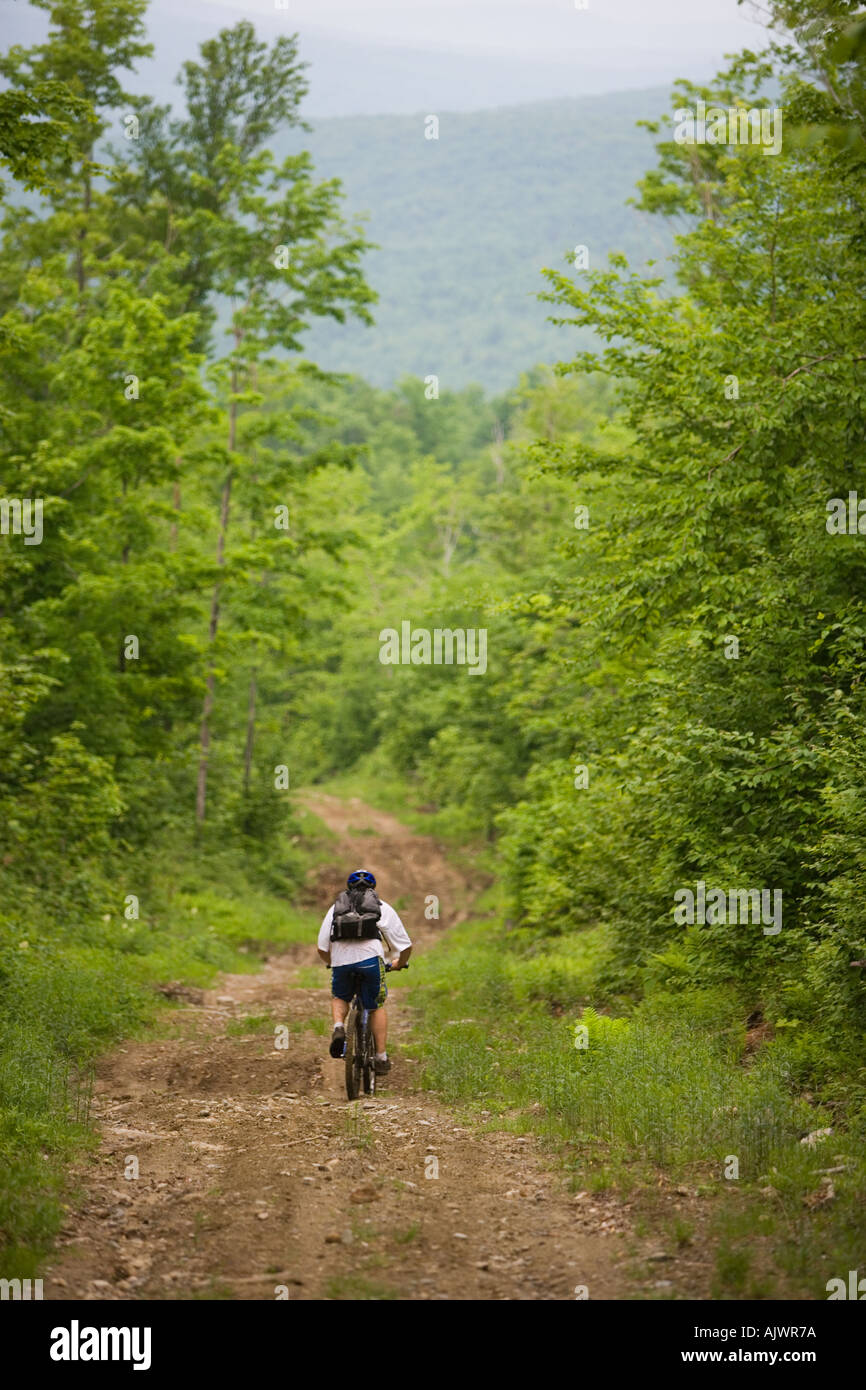 Mountain bike su una strada di registrazione di Granby Vermont infermiera vicino Mountain Nordest unito Foto Stock