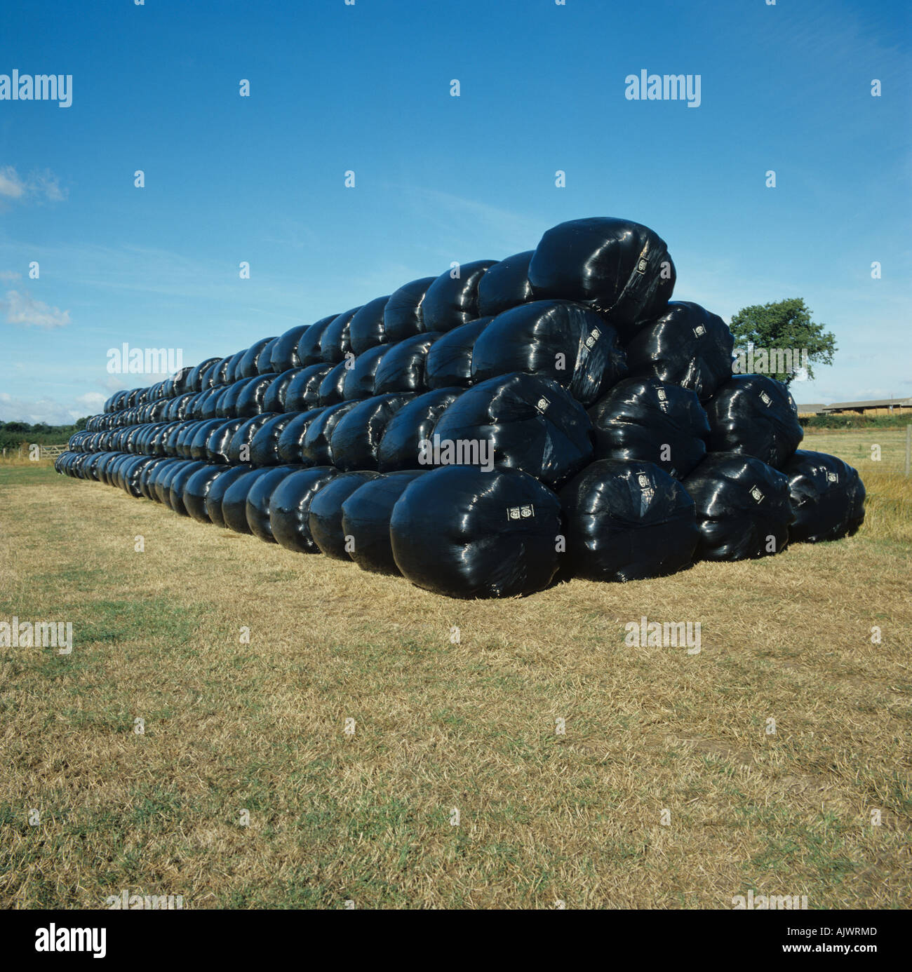 Pila di round di balle di insilato avvolte in nero foglio di politene Foto Stock