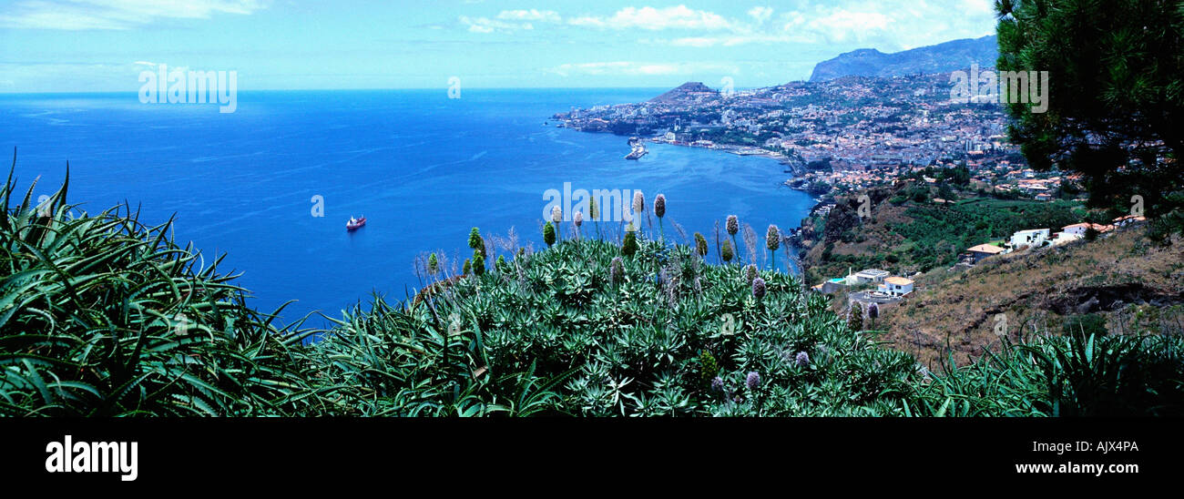 Vista su Funchal Foto Stock