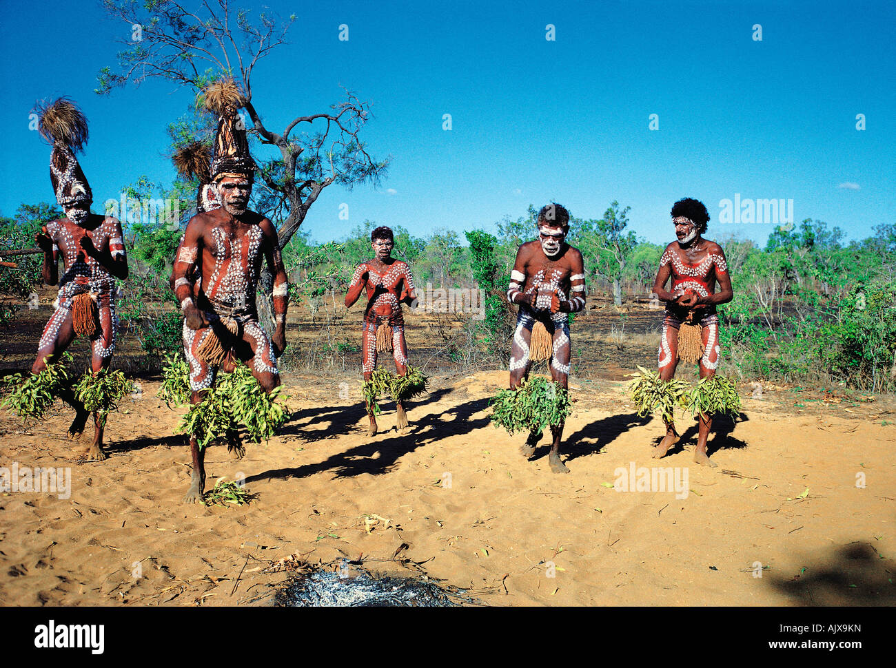 Corroboree aborigene. Ballerini. Australia. Territorio del Nord. Foto Stock