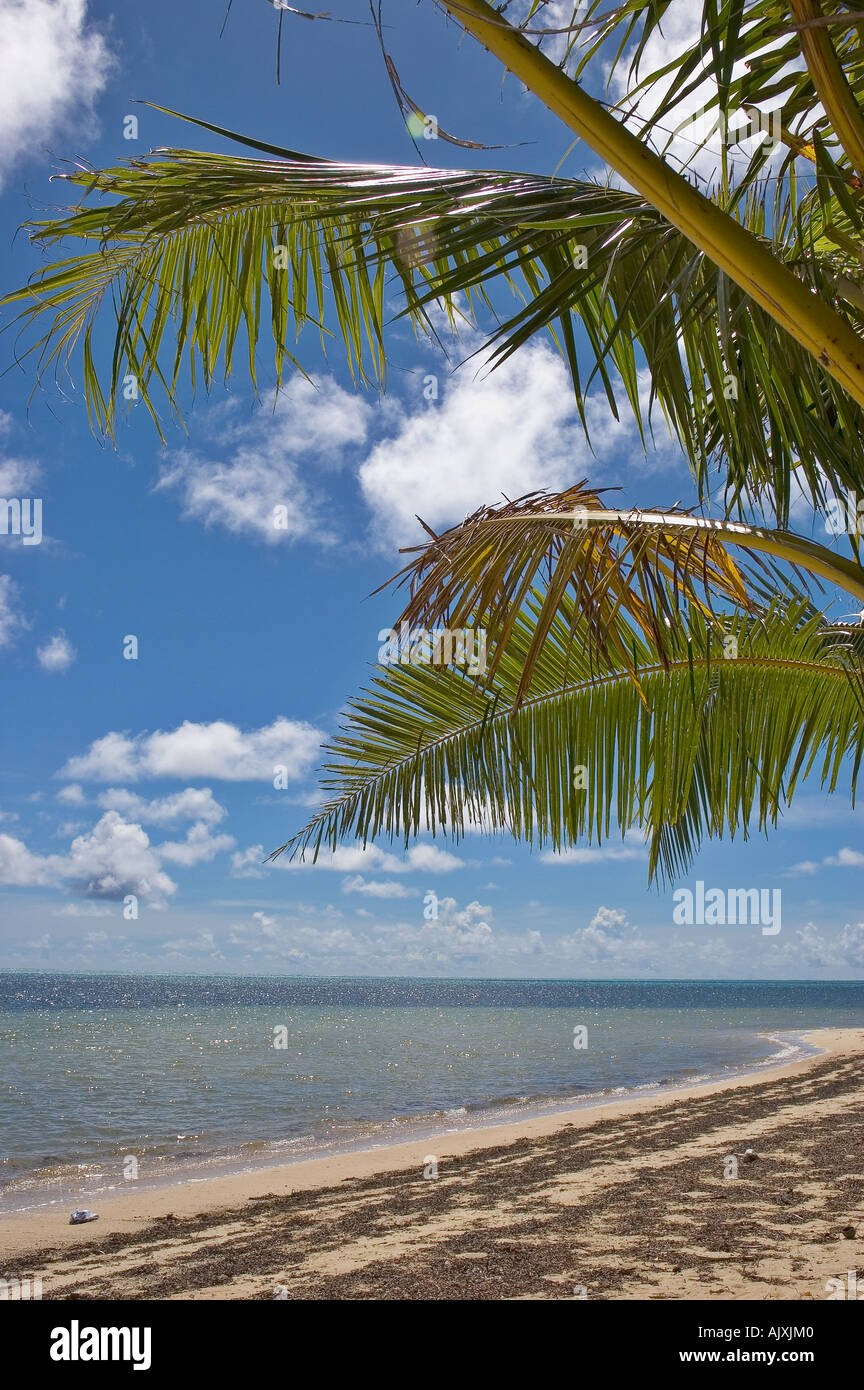 Sulla spiaggia di Isola di Yap Yap Micronesia Oceano Pacifico Foto Stock