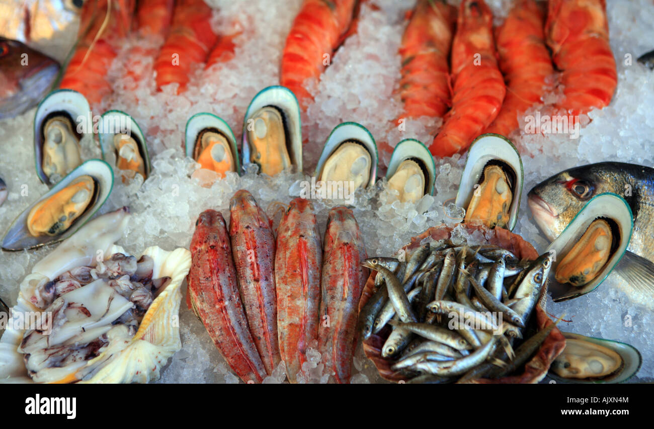 Un display di piatti a base di frutti di mare conservati in ghiaccio in una taverna di pesce in Rethymnon Crete Foto Stock