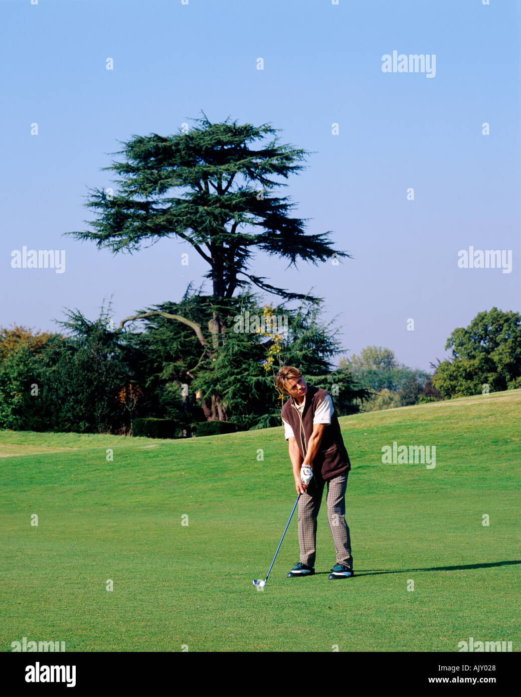 Donna giocando a golf Foto Stock