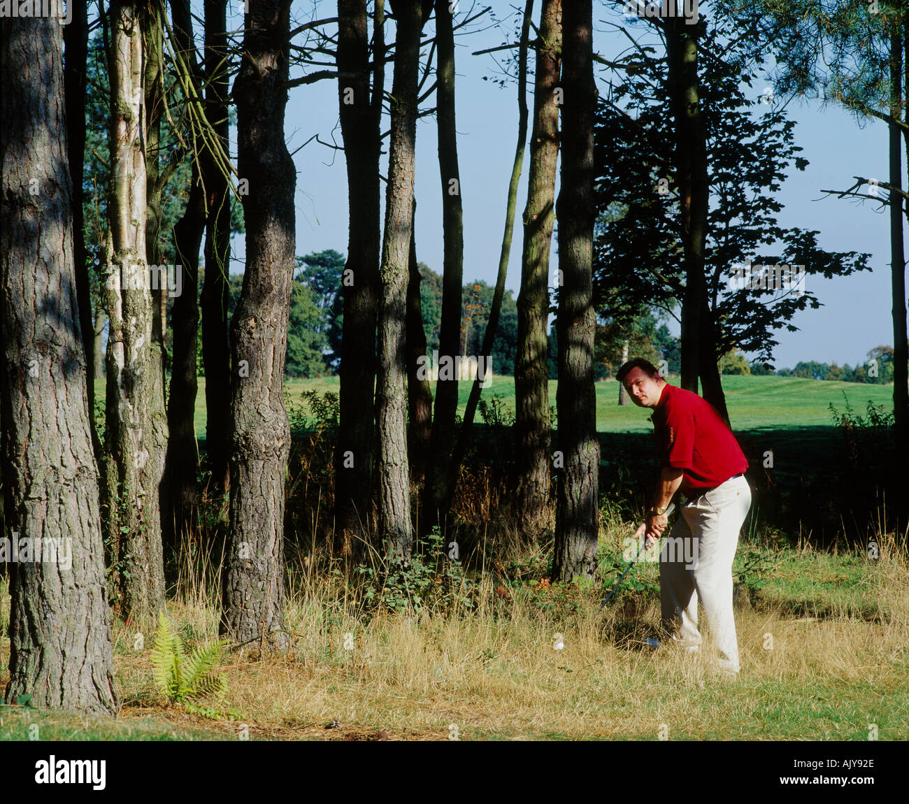 Il Golfer grezzo Foto Stock