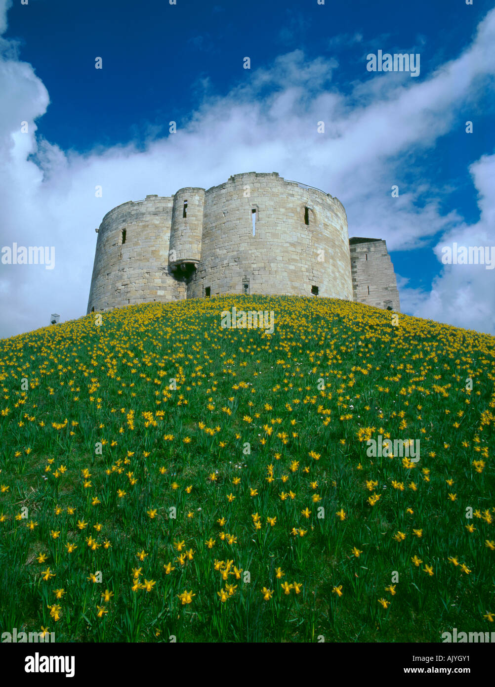 La Torre di Clifford, città di York, North Yorkshire, Inghilterra, Regno Unito Foto Stock