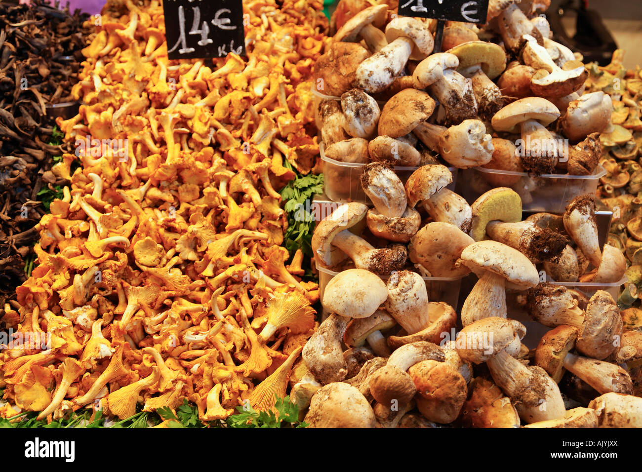 Barcelona Ramblas Mercat de Sant Josep mercato La Boqueria di funghi Foto Stock