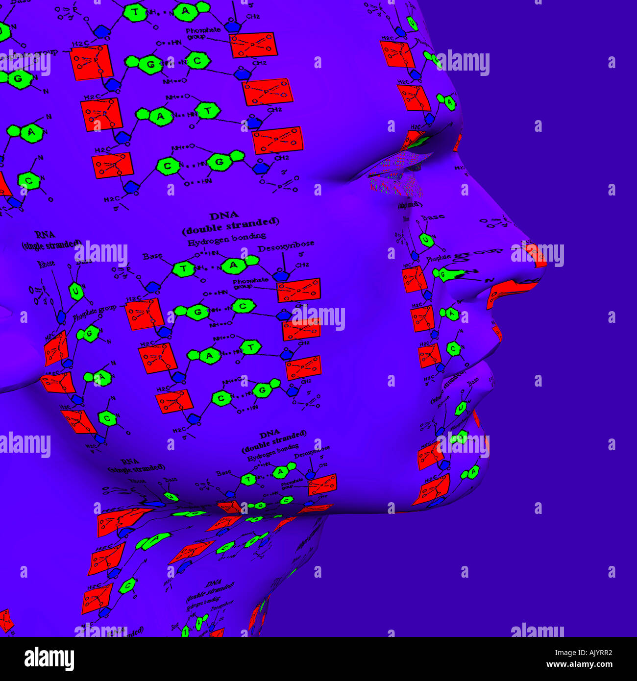 Generata da computer robot astratta testa in 3D Foto Stock