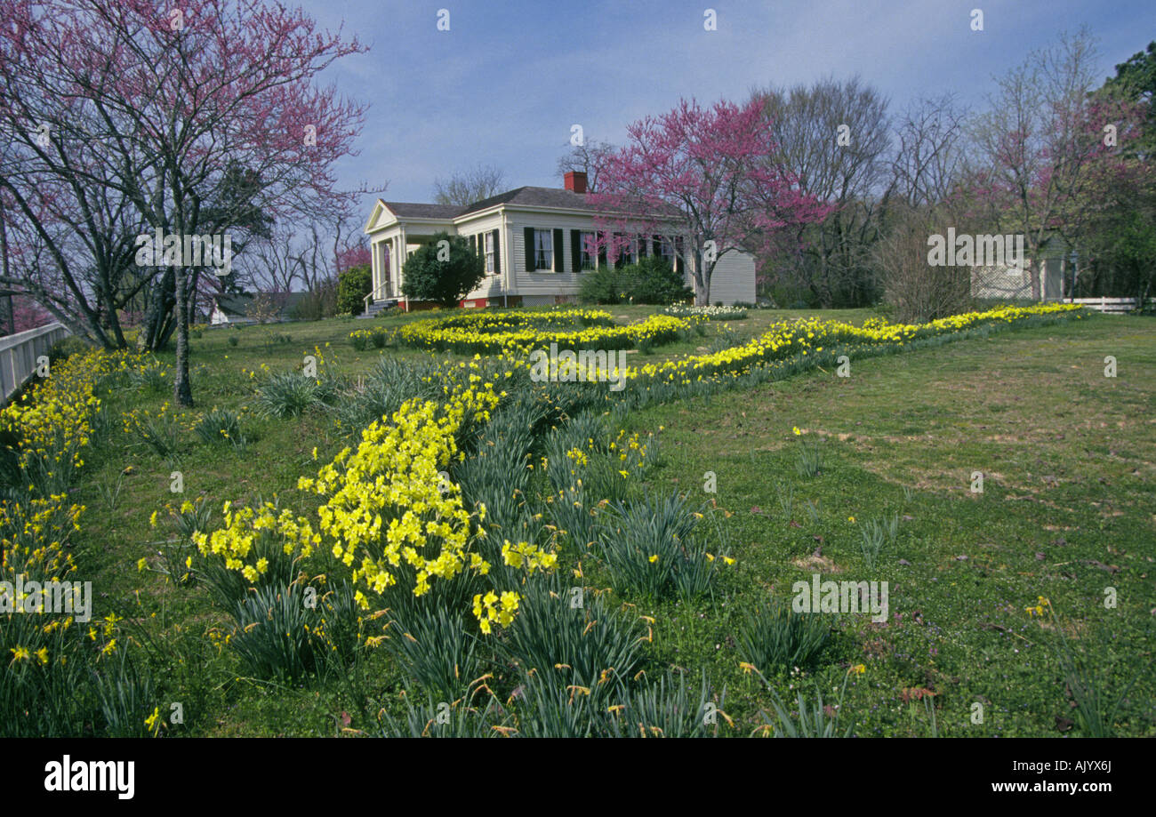 Narcisi e redbud alberi fioriscono nei pressi di una delle più storiche case coloniche nella Storica Washington State Park nel sud Arkansas Foto Stock