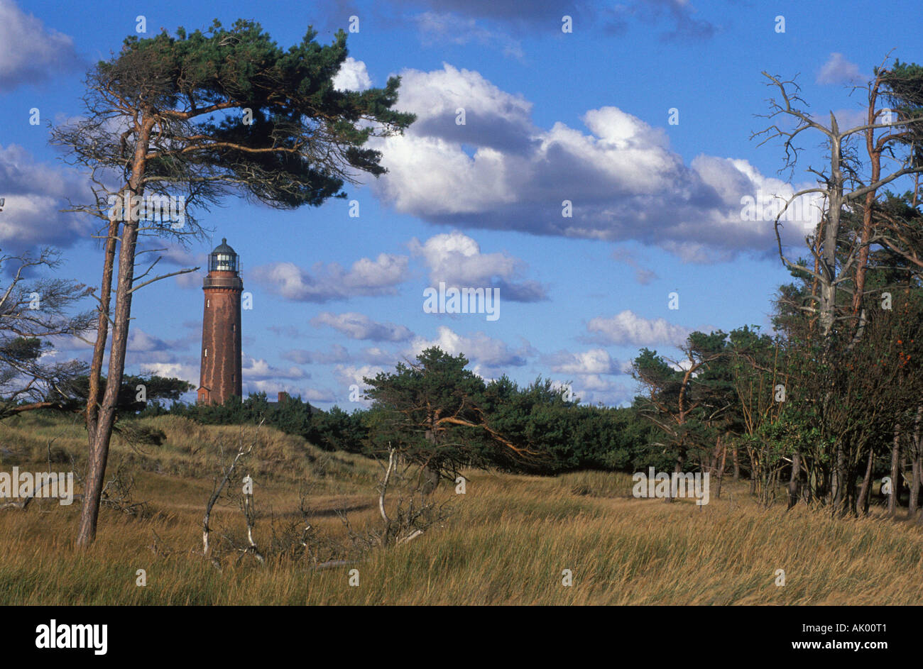 Lighthouse / Darsser Ort Foto Stock