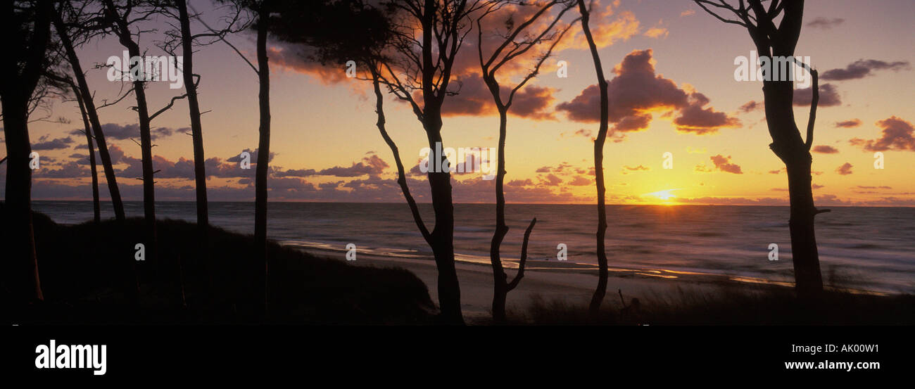 Spiaggia in autunno / Darss Foto Stock