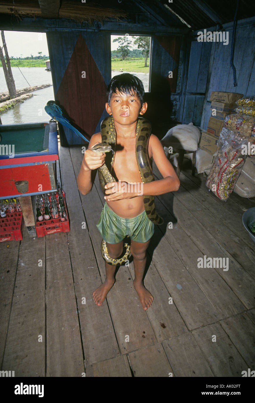 Un giovane ragazzo indiano possiede un pet Boa constrictor in un remoto villaggio lungo un piccolo affluente del Rio Fiume Solimos Foto Stock