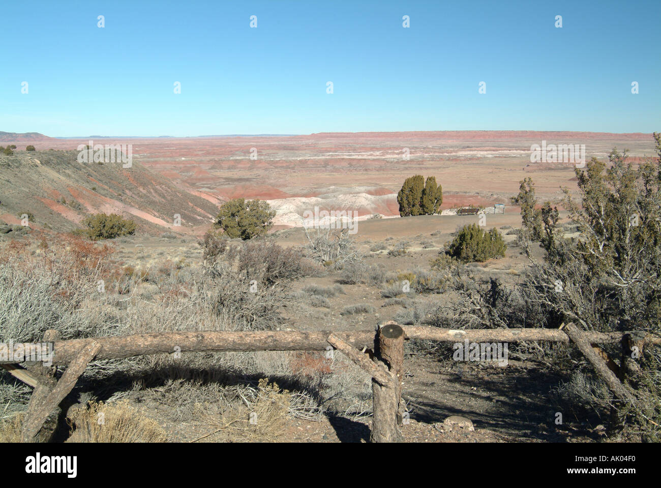 Vista del Deserto Dipinto dal punto Tawa Arizona Stati Uniti America STATI UNITI D'AMERICA Foto Stock