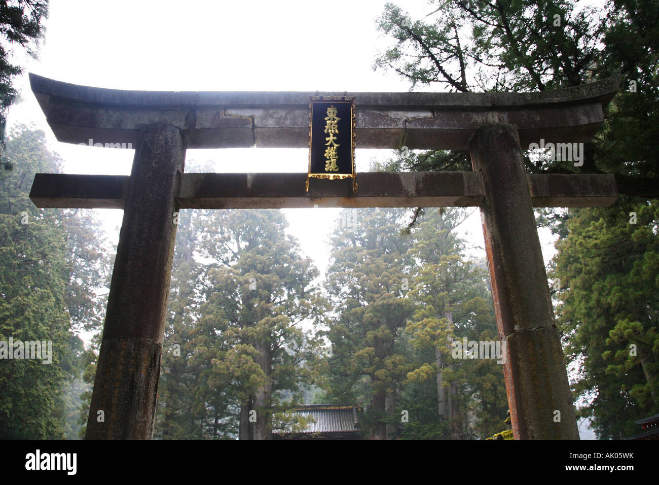 Torii cancello al al sacrario scintoista di Toshogu in Nikko Giappone Foto Stock