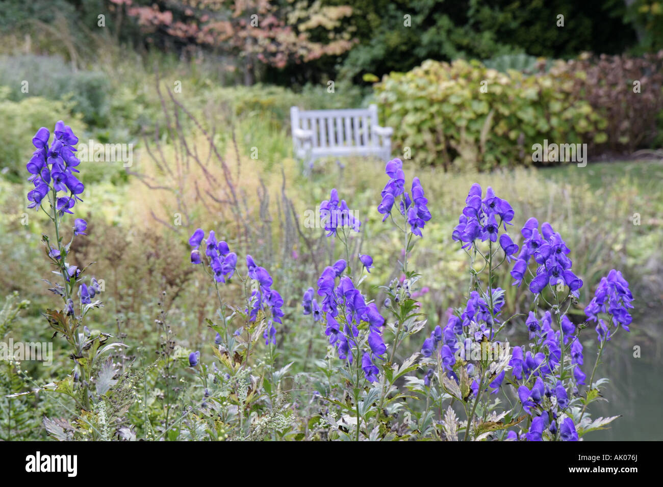 Inghilterra Regno Unito Regno Unito, Gran Bretagna Inglese britannico, Northumberland, Longhoughton, Howick Hall Gardens 1782, i visitatori viaggiano turistico Foto Stock