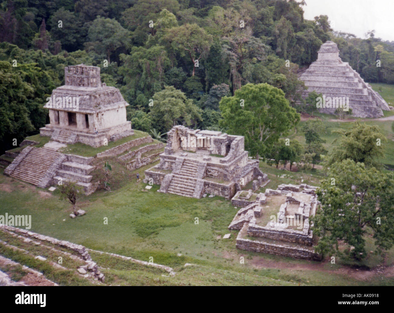 Magnifico sito Maya piramidi città antica struttura di giungla tropicale esotico wild Palenque Yucatan Messico centrale America latina Foto Stock