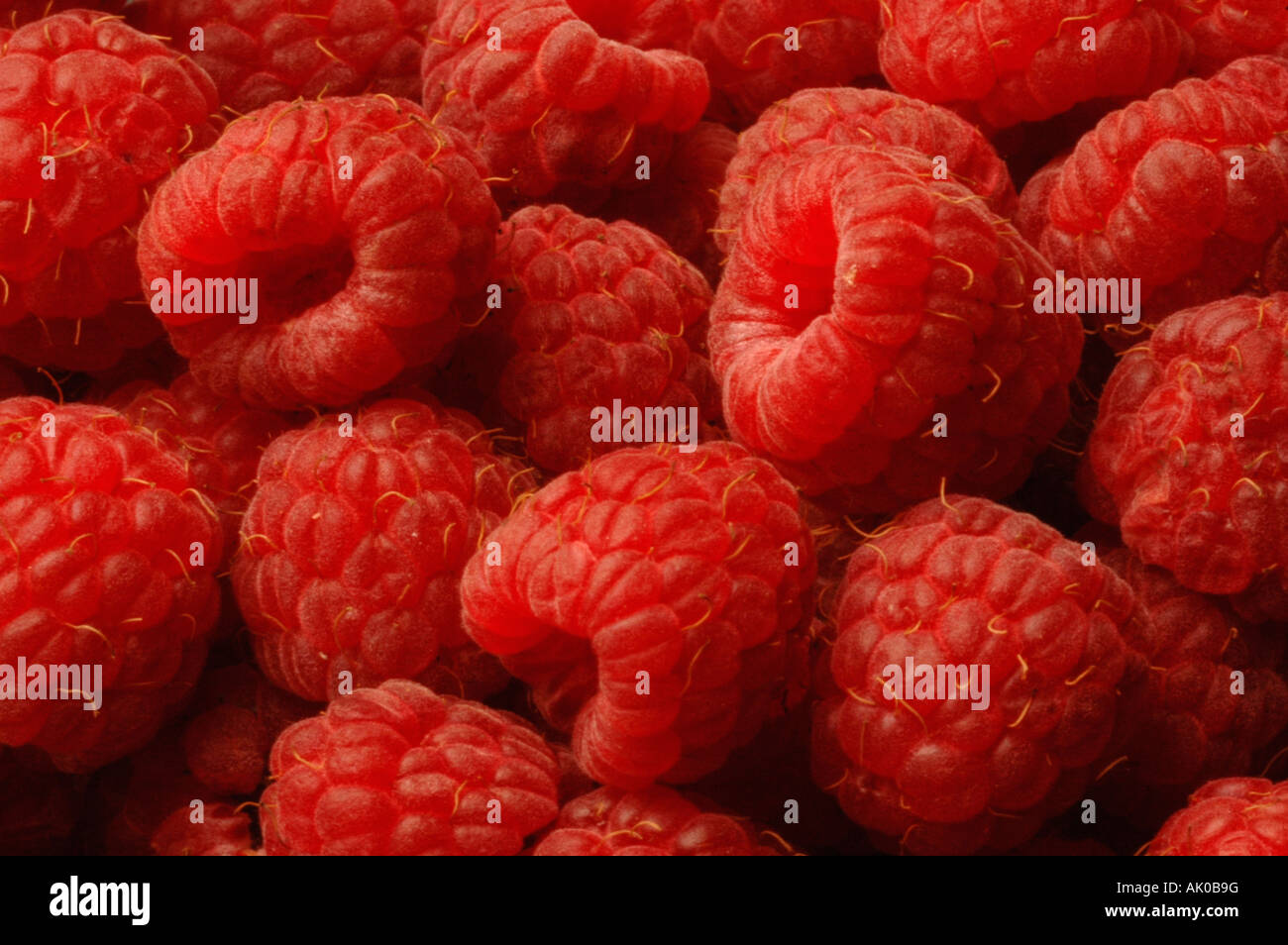 Close up di lamponi Foto Stock