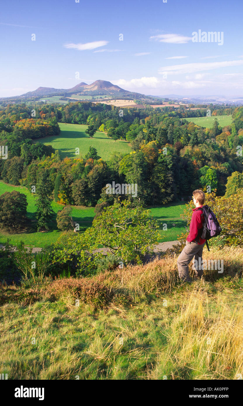 Autunno Scotts vista in confini Scozzesi walker ammirando la veduta autunnale sul fiume Tweed per Eildon Hills Scotland Regno Unito Foto Stock