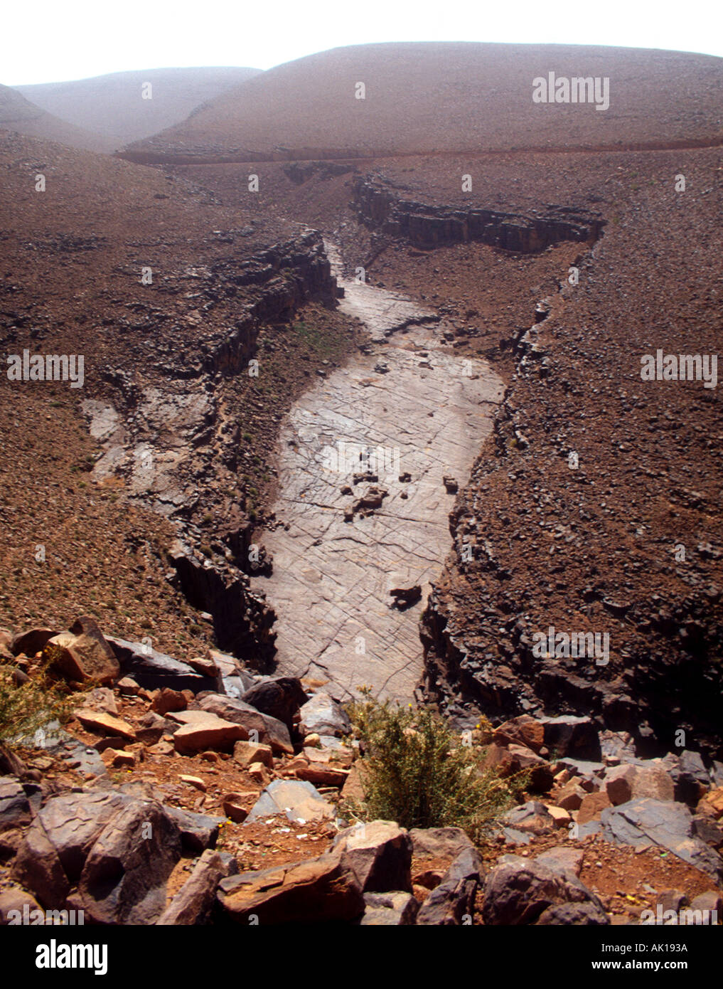 Deserto secco gorge Atlante, Jebel Sarhro montagne vicino Tizi n Tinififft Pass, Marocco Africa del nord Foto Stock