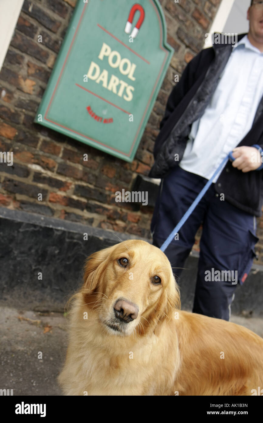 Regno Unito Inghilterra Thirsk, Kirkgate, John Smith's Cross Keys Bar, pub, cane, animale domestico, canino, animale, ritrovo, cartello, freccette da biliardo, UK071013034 Foto Stock