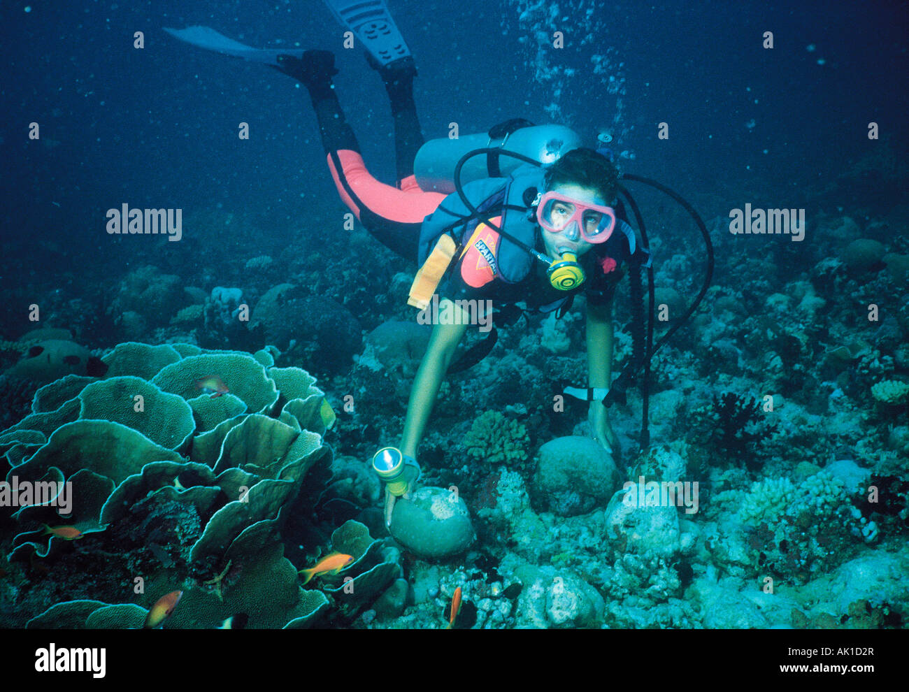 Giovane donna immersioni subacquee. Coral reef. Oceano Indiano. Maldive. Foto Stock