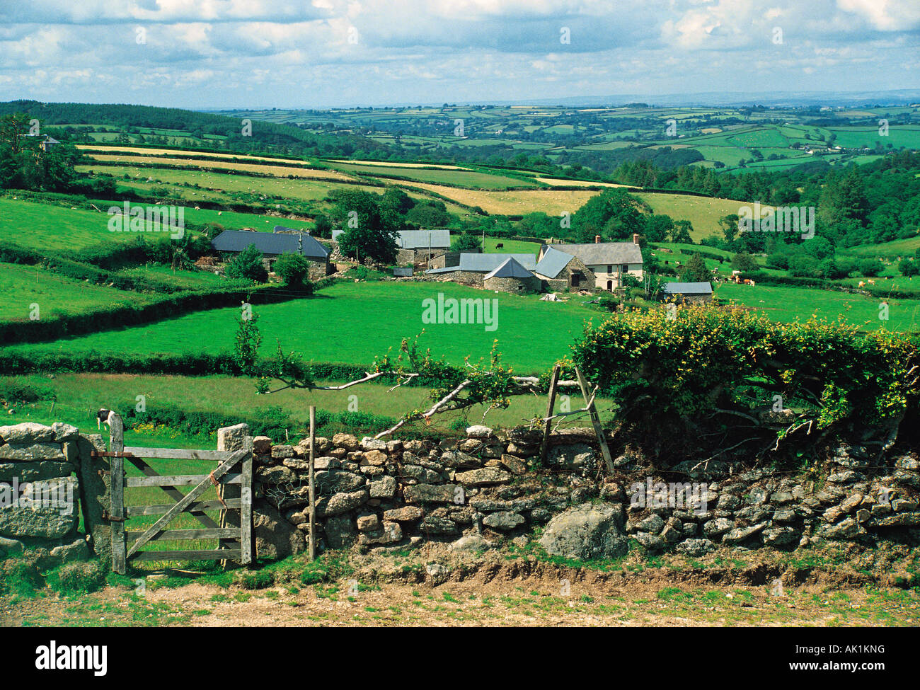 Regno Unito. Inghilterra. Devon. Paesaggio rurale con edifici agricoli e muro di pietra a secco. Foto Stock