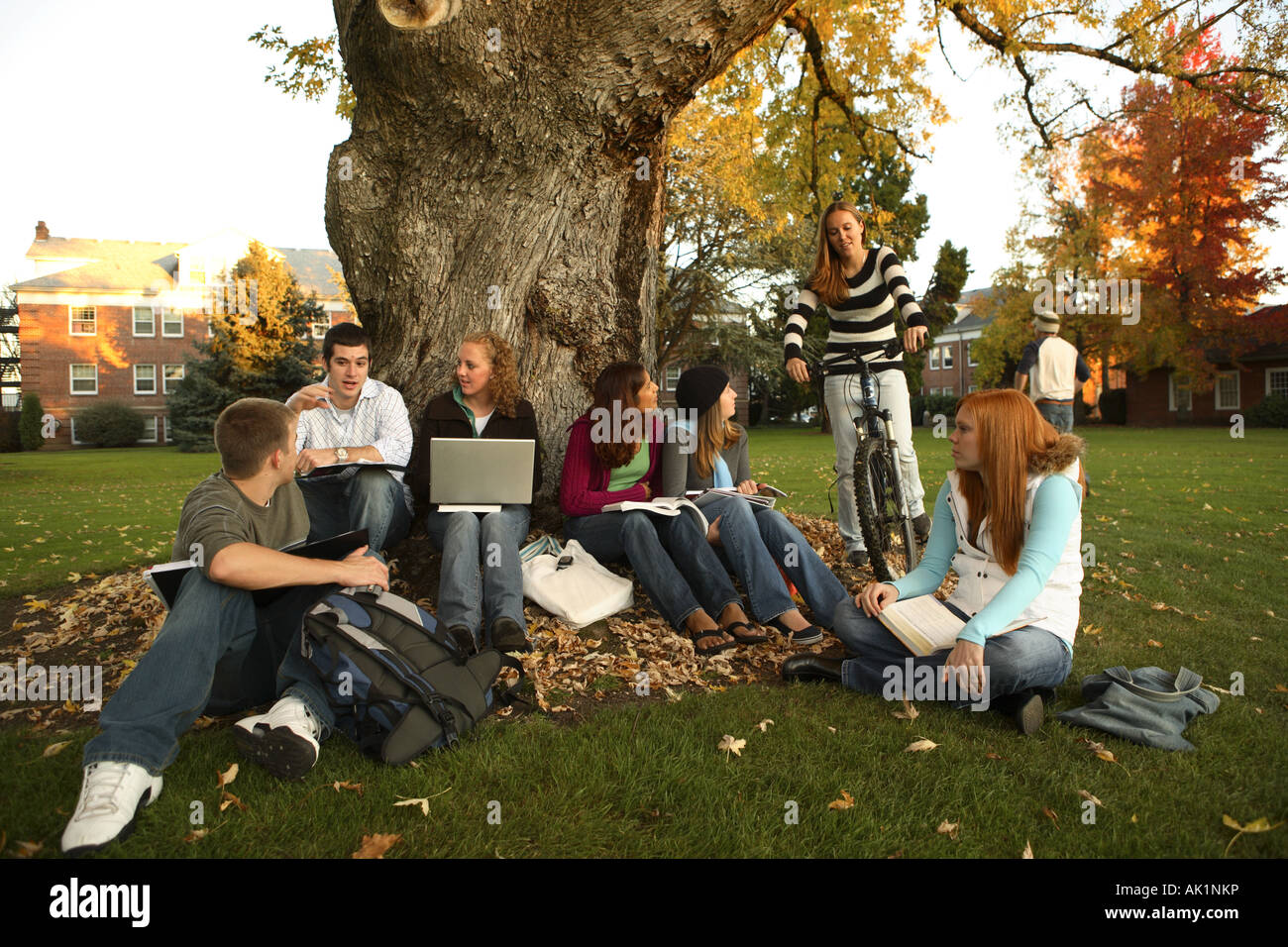 Un gruppo di studenti universitari che studiano all'aperto Foto Stock