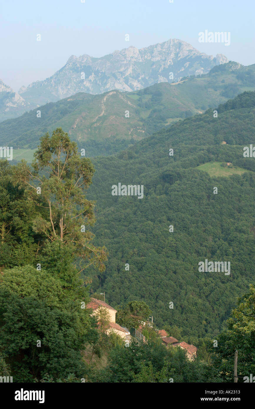 Paesaggio nella zona occidentale del Parco Nazionale Picos de Europa, Asturias, Spagna Foto Stock