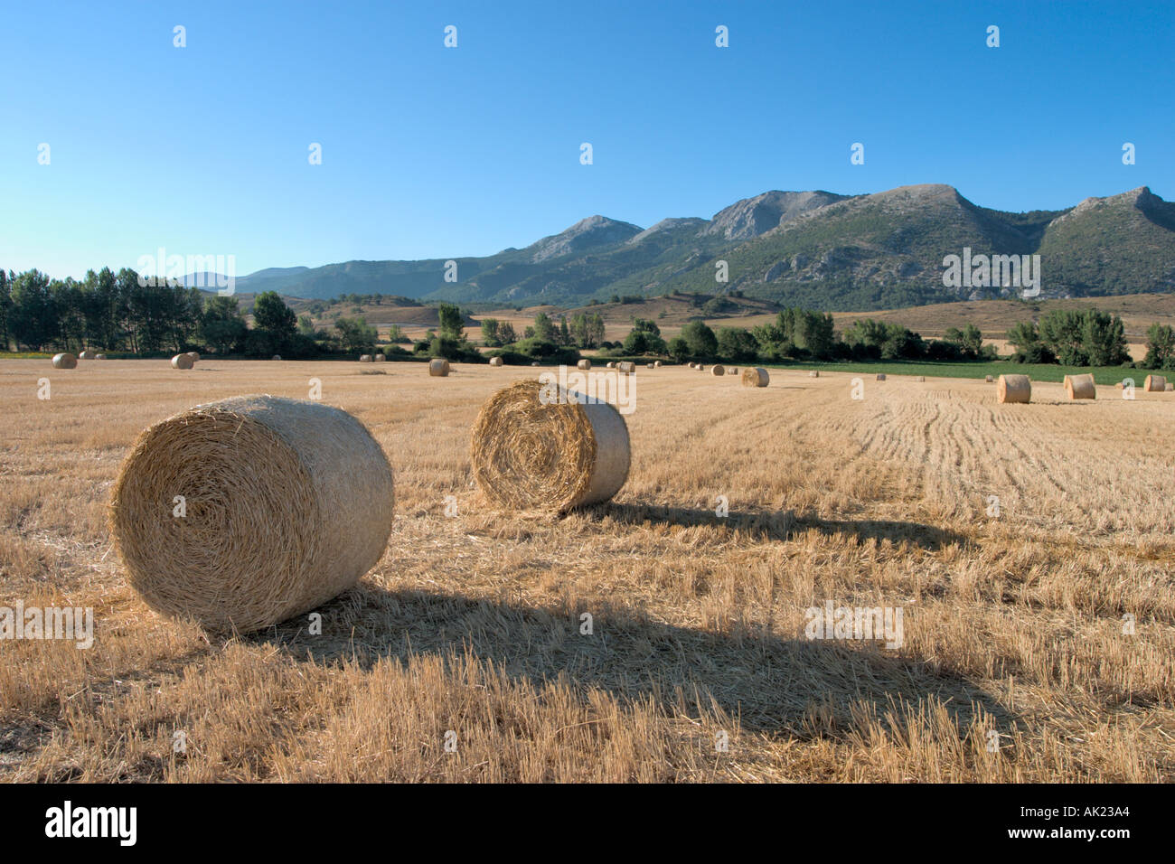Il paesaggio a ovest di Pamplona, Navarra, Paese Basco, Spagna Foto Stock