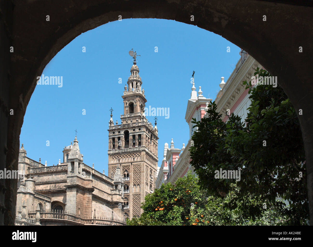 La Giralda e la cattedrale, Plaza del Triunfo, Siviglia, in Andalusia, Spagna Foto Stock