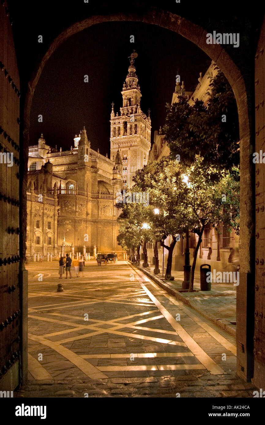 La Giralda e la Cattedrale di notte, Plaza del Triunfo, Siviglia, in Andalusia, Spagna Foto Stock