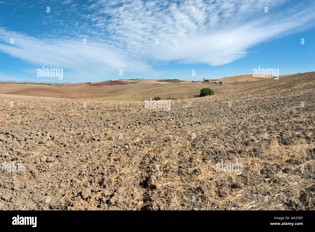 Paesaggio rurale nella regione di Ronda, Andalusia, Spagna Foto Stock