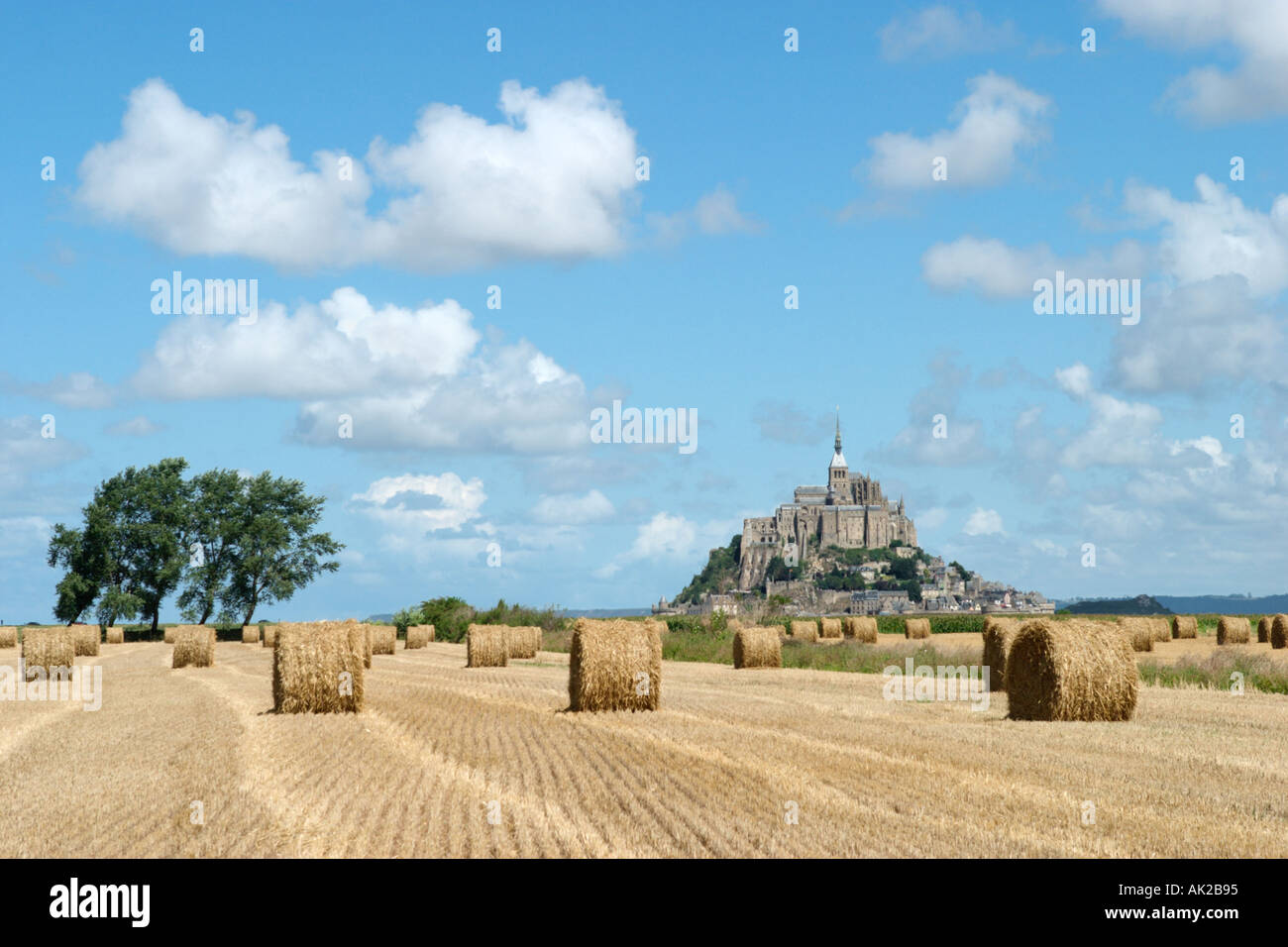 Vista di Mont Saint-Michel attraverso nuovi campi di raccolto, Normandia, Francia Foto Stock