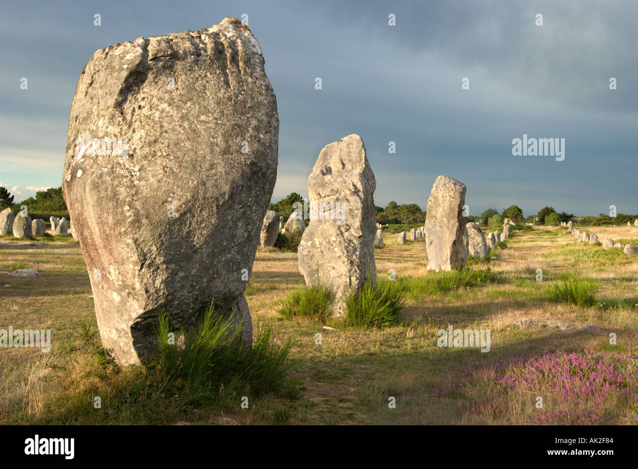 I megaliti nel tardo pomeriggio appena prima di una tempesta, Alignements de Kermario, Carnac, Brittany, Francia Foto Stock