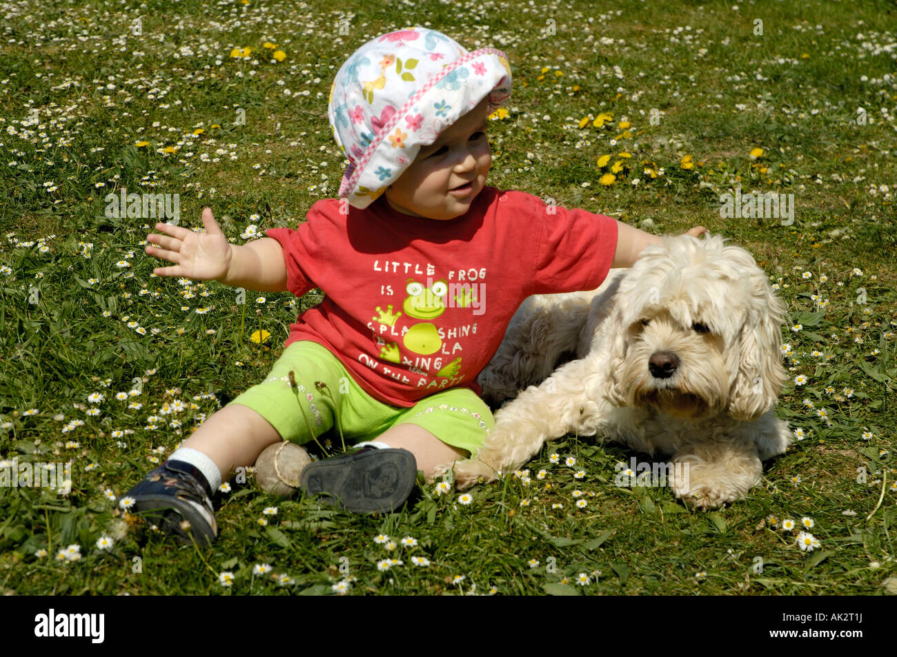 Il bambino con un misto di cane di razza Foto Stock