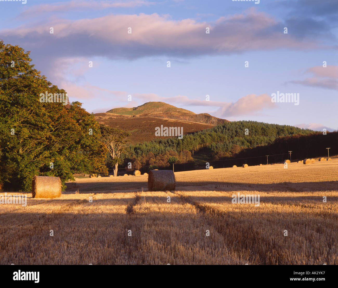 Dunsinane Hill nelle colline Sidlaw, Perth and Kinross, Scotland, Regno Unito Foto Stock