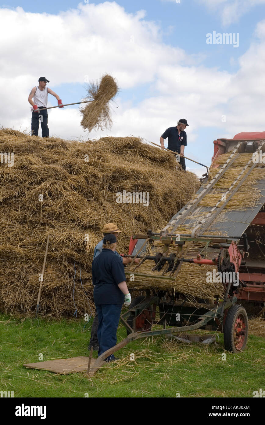 Macchina Thresing al 2007 Grande Dorset Fiera vapore Blandford Forum Dorset Inghilterra Foto Stock