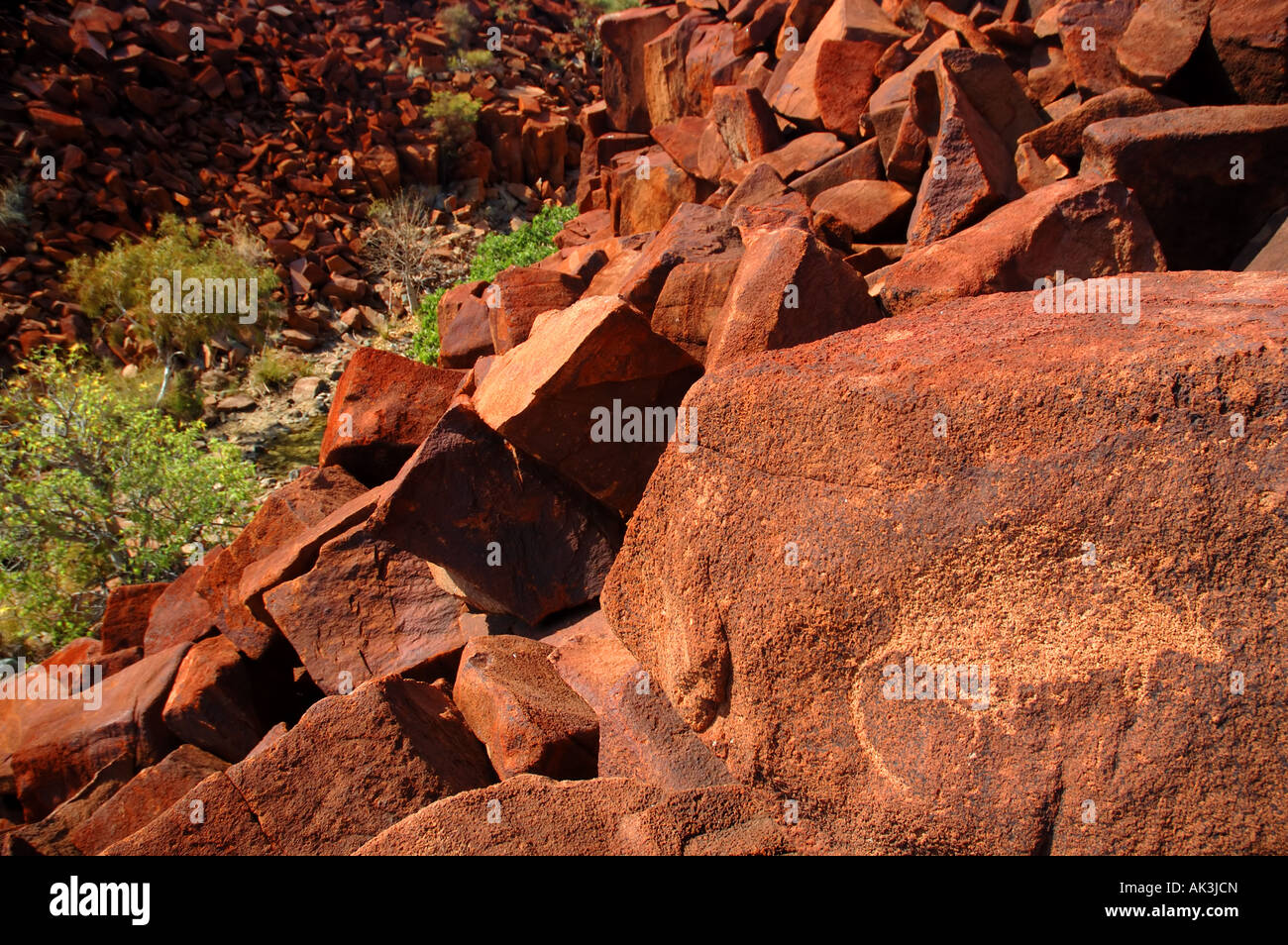 Incisione in Pietra di un corposo di grandi dimensioni marsupiale. Antica arte rupestre degli Aborigeni in gola profonda, penisola di Burrup, Australia occidentale Foto Stock