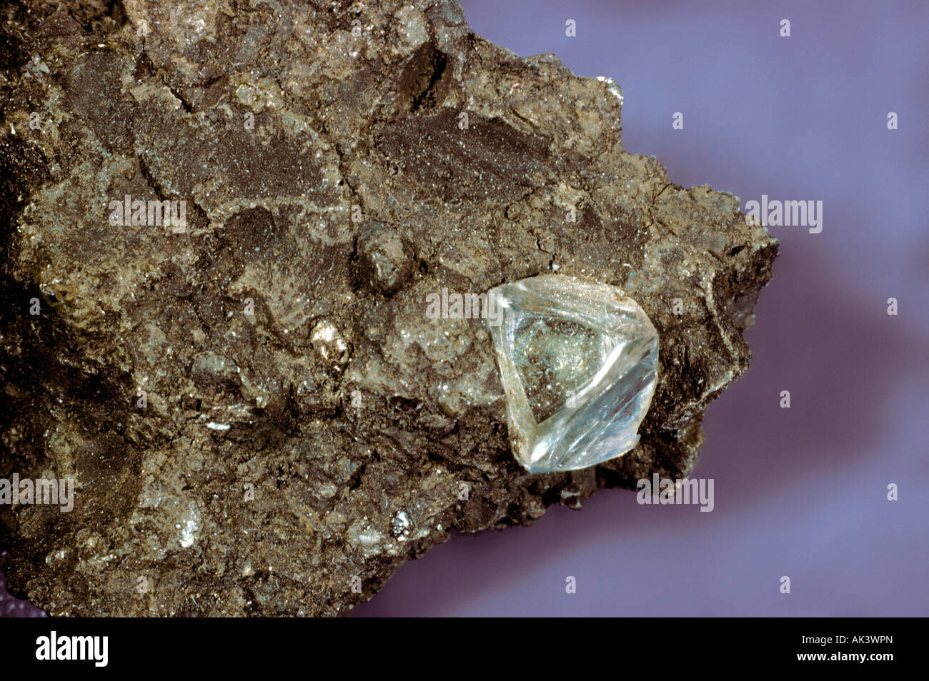 Il diamante nella matrice Kimberlite peridotiti Kimberly Sud Africa 50m Foto Stock