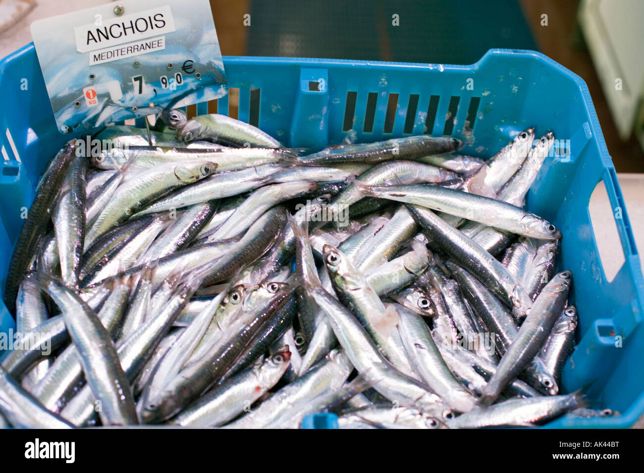 Acciughe al mercato del pesce Foto Stock