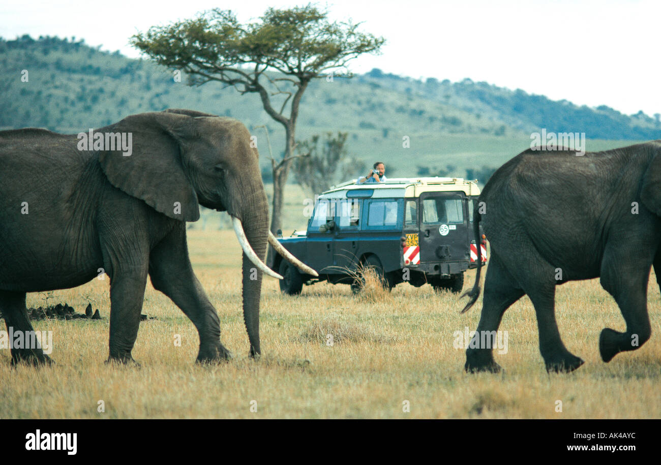 Landrover client e chiudere gli elefanti nella Riserva Nazionale di Masai Mara Kenya Africa orientale Foto Stock