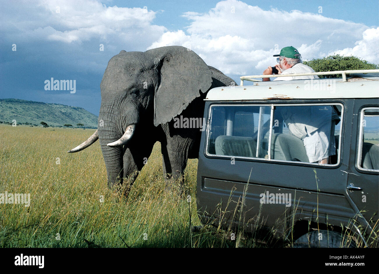 Un uomo di prendere una fotografia di un elefante da una Toyota Landcruiser nella Riserva Nazionale di Masai Mara Kenya Africa orientale Foto Stock