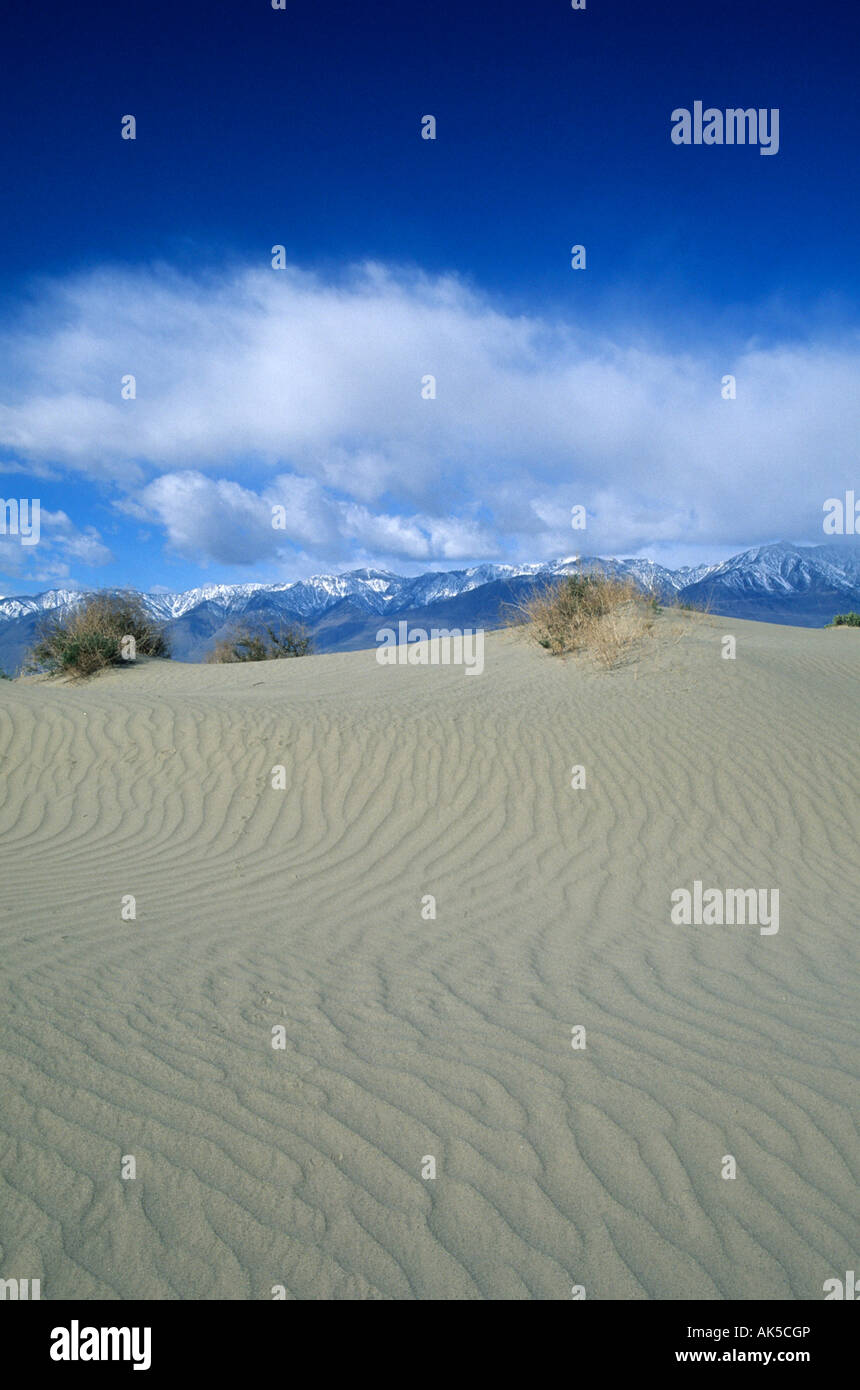 Dune di sabbia sul bordo del secco Lago Owens al di sotto della Sierra Nevada nella Owens Valley, California, Stati Uniti d'America Foto Stock