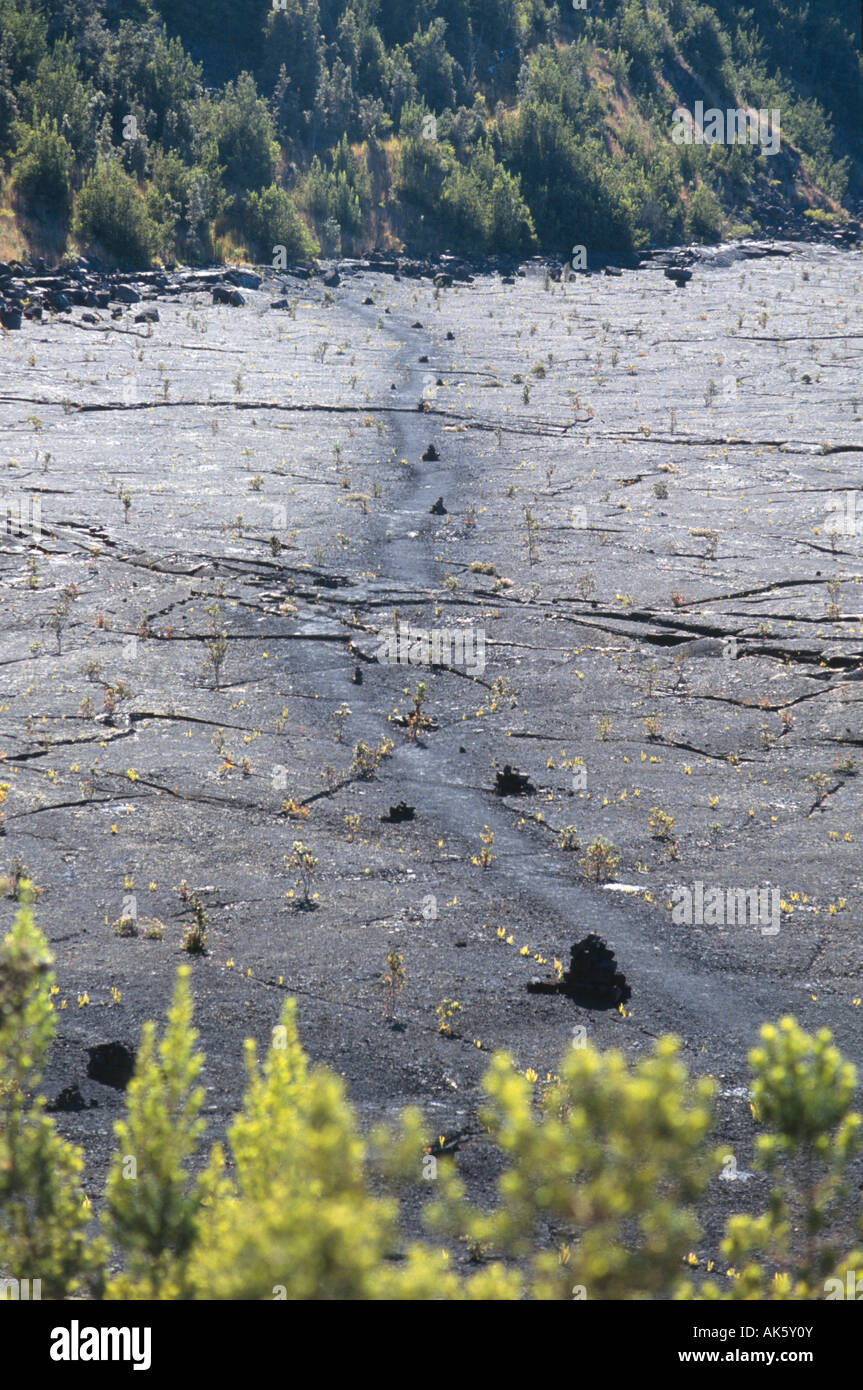 Il Kilauea Iki sentiero di attraversamento di lava nera del vulcano Kilauea Caldera Hawaii USA Foto Stock