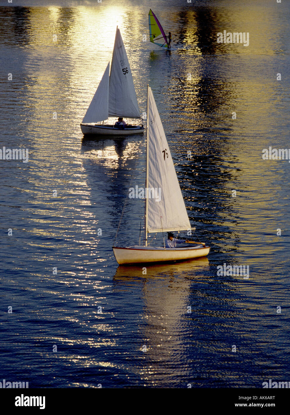 Due barche a vela e wind surf sul fiume Charles un pomeriggio estivo a Boston Foto Stock