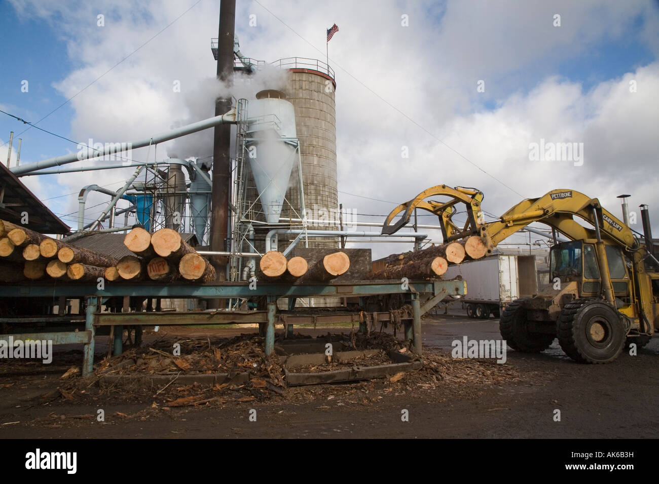 Arbor Vitae Wisconsin log vengono caricati su apparecchiatura di elaborazione presso l'Pukall legname Azienda segheria Foto Stock