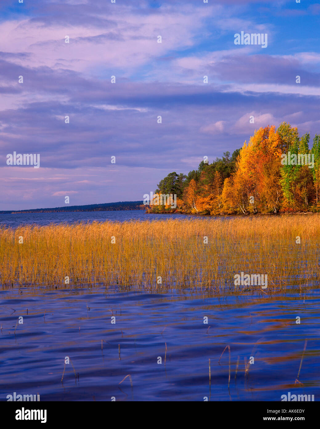 Lago Jerisjarvi Foto Stock