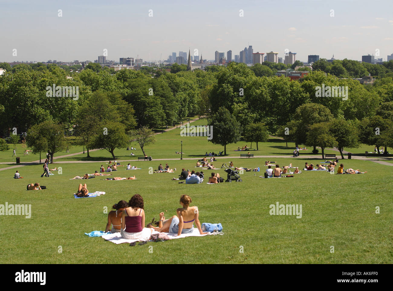 Lucertole da mare su Primrose Hill in estate Londra Inghilterra Foto Stock