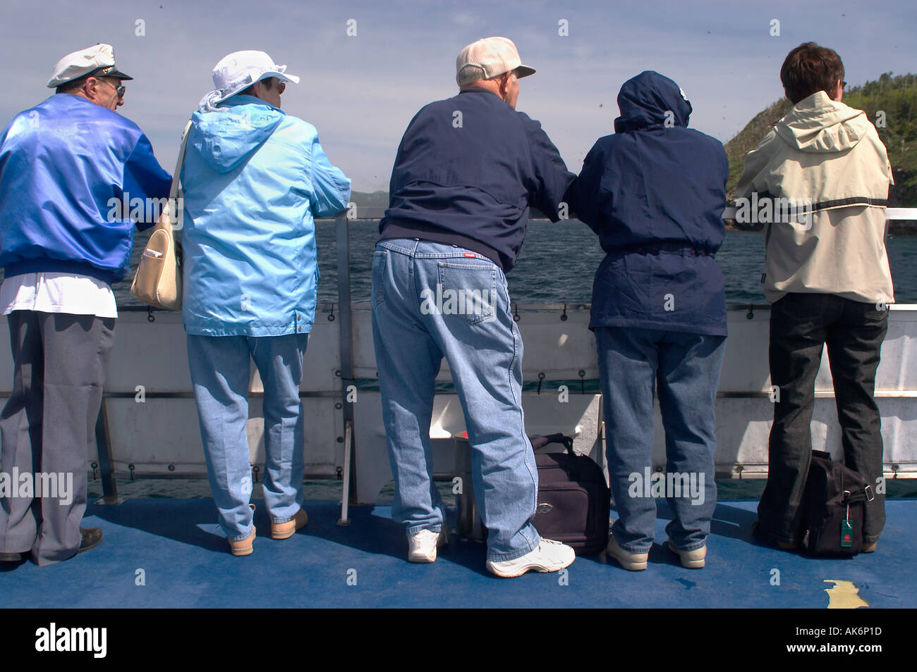 I turisti su una barca per fare whale watching Whitless Bay Penisola di Avalon Foto Stock