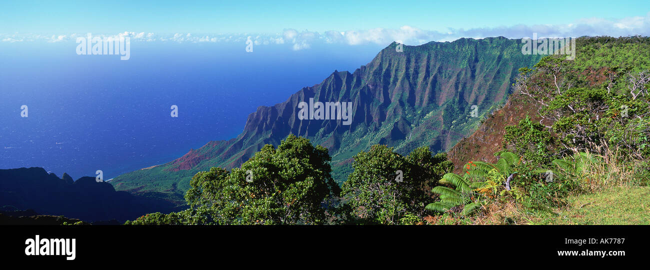 Kalalau Lookout Kokee State Park Canyon Waimea Kauai Hawaii USA Foto Stock